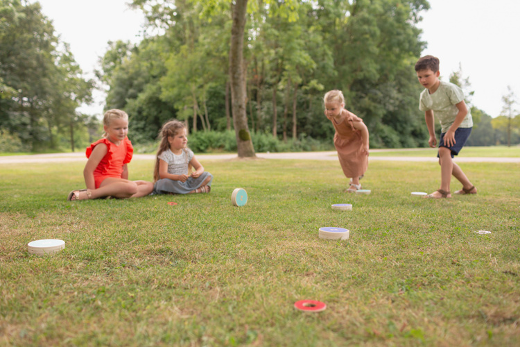 BS Toys, Drewniana gra zręcznościowa Turlaj krążki
