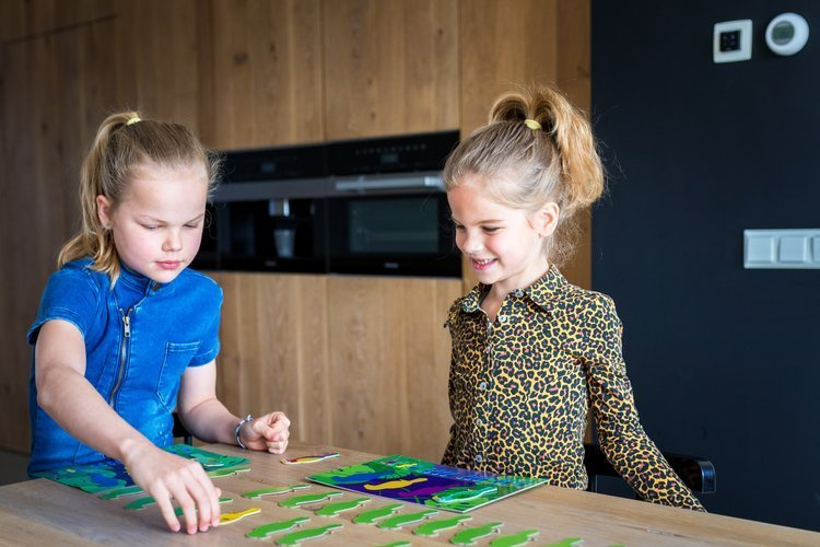 BS Toys, Gra planszowa strategiczna Papugi