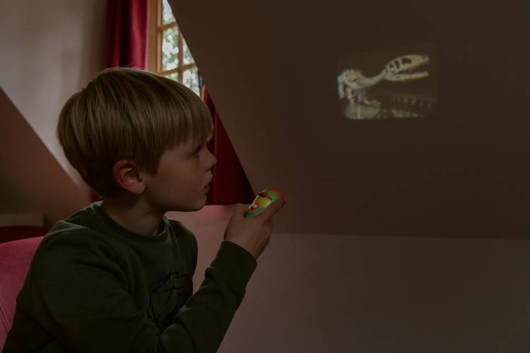 Projektor Latarka z Pojemnikiem Na Tarcze Dino XL