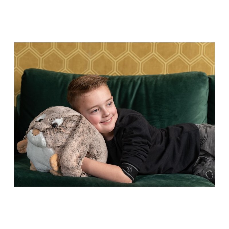Królik Poduszka i pluszowy ogrzewacz do dłoni 2w1 Cozy Noxxiez HW701